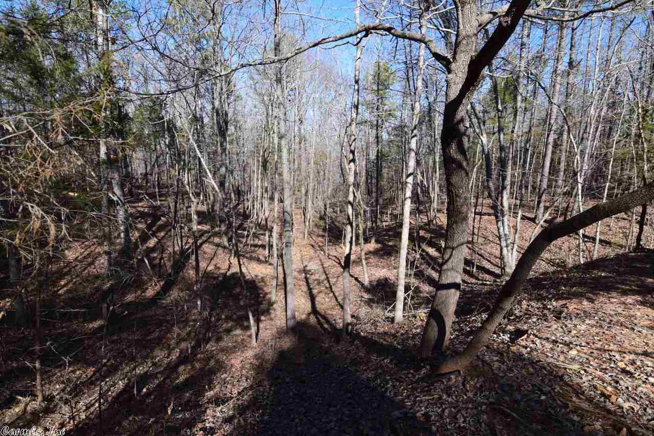 214 Pitard Loop, Mountain View, AR 72560 photo 31