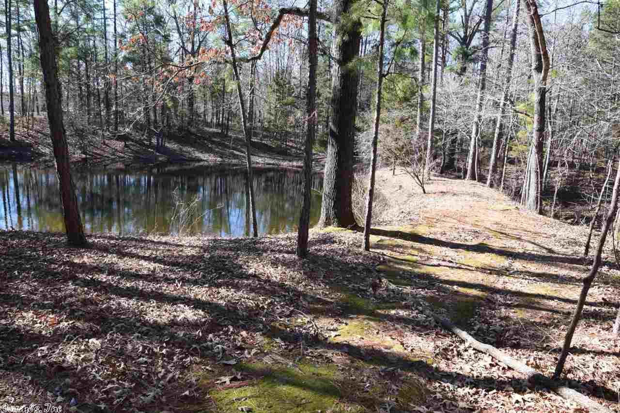 214 Pitard Loop, Mountain View, AR 72560 photo 30