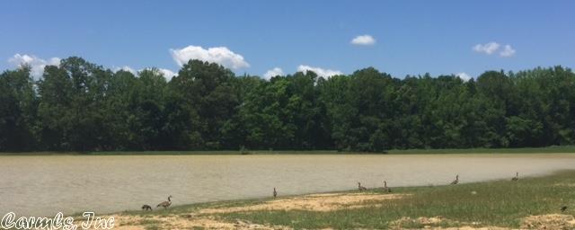 24 Heelstone Dr, Cabot, AR 72023 photo 5