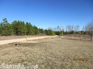 7431 Jed, Pine Bluff, AR 71603 photo 3