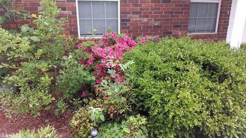 455 E 6th, Waldron, AR 72958 photo 19