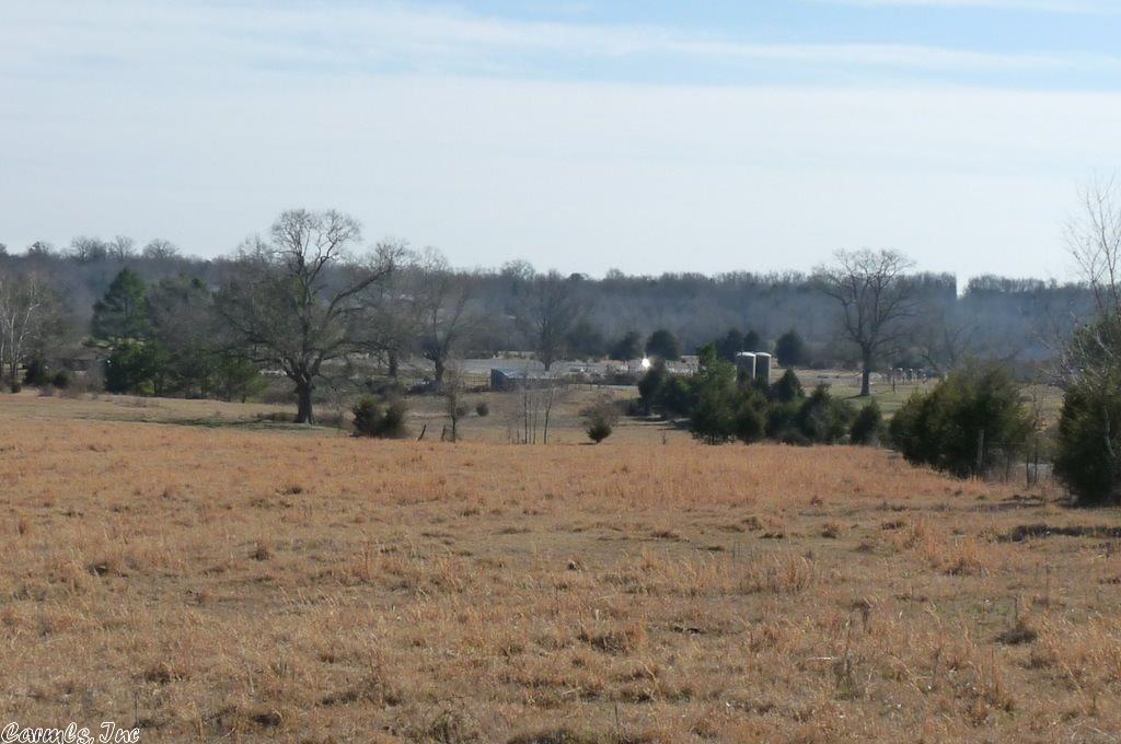 57 Herring Rd, Quitman, AR 72131 photo 1
