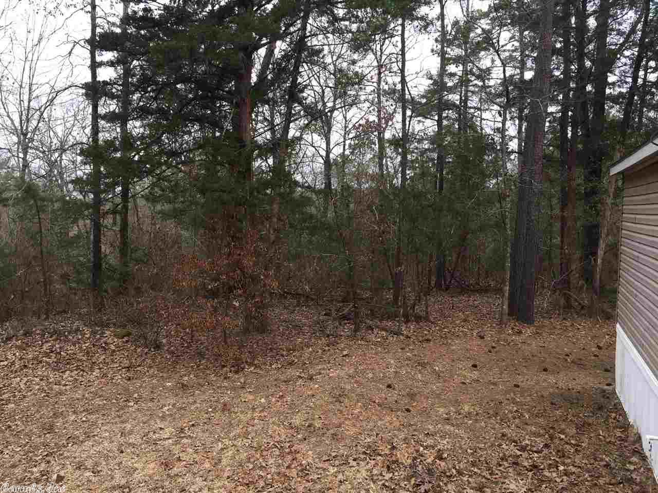 335 Rink Rd, De Queen, AR 71832 photo 6