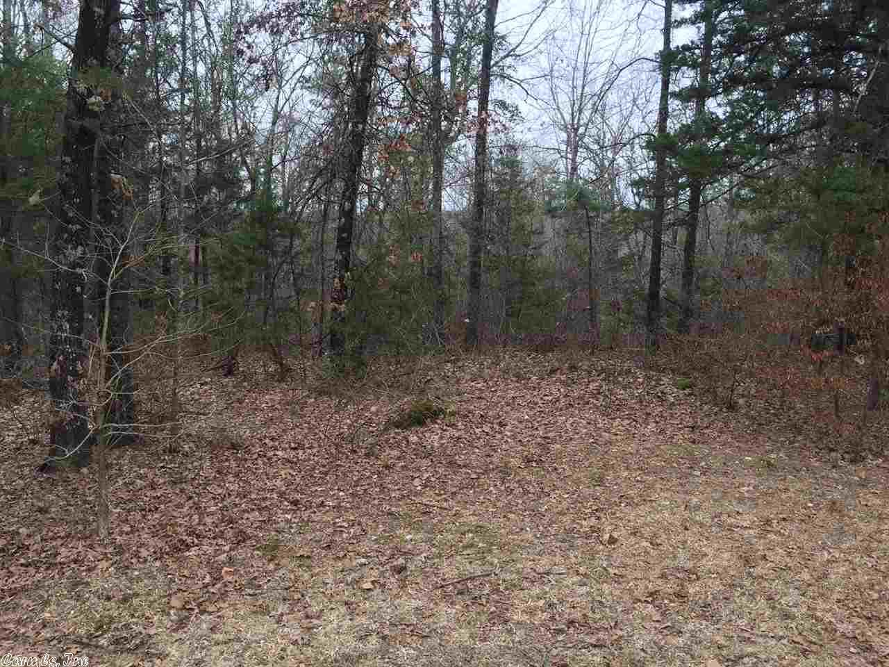 335 Rink Rd, De Queen, AR 71832 photo 5