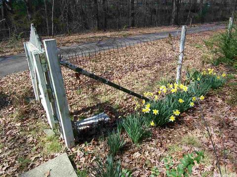 74 E Ridge Rd, Mayflower, AR 72106 photo 10