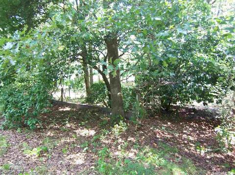 74 E Ridge Rd, Mayflower, AR 72106 photo 15