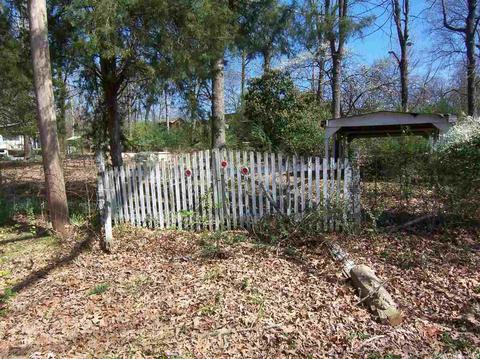74 E Ridge Rd, Mayflower, AR 72106 photo 4