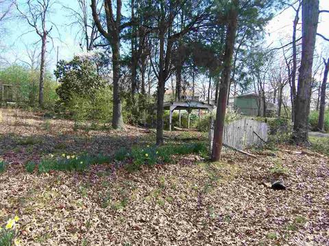 74 E Ridge Rd, Mayflower, AR 72106 photo 11
