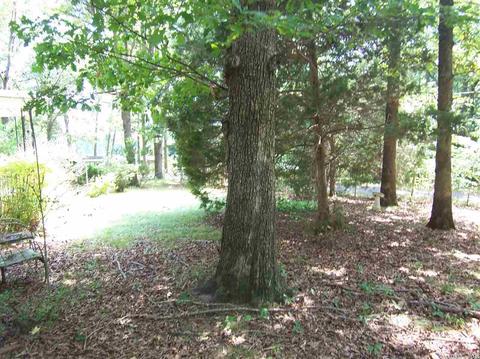 74 E Ridge Rd, Mayflower, AR 72106 photo 18