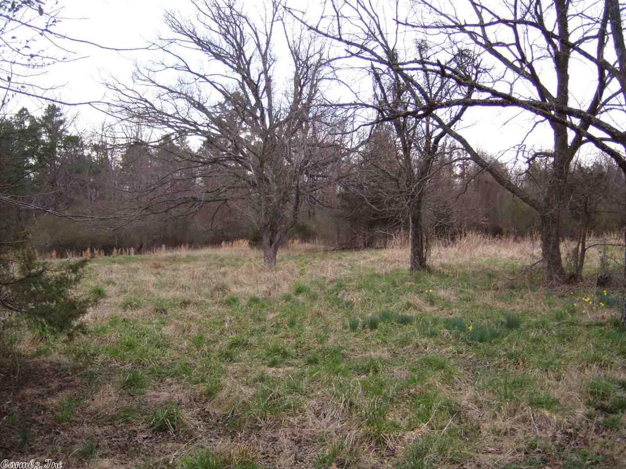 30 Banner Loop, Concord, AR 72523 photo 6
