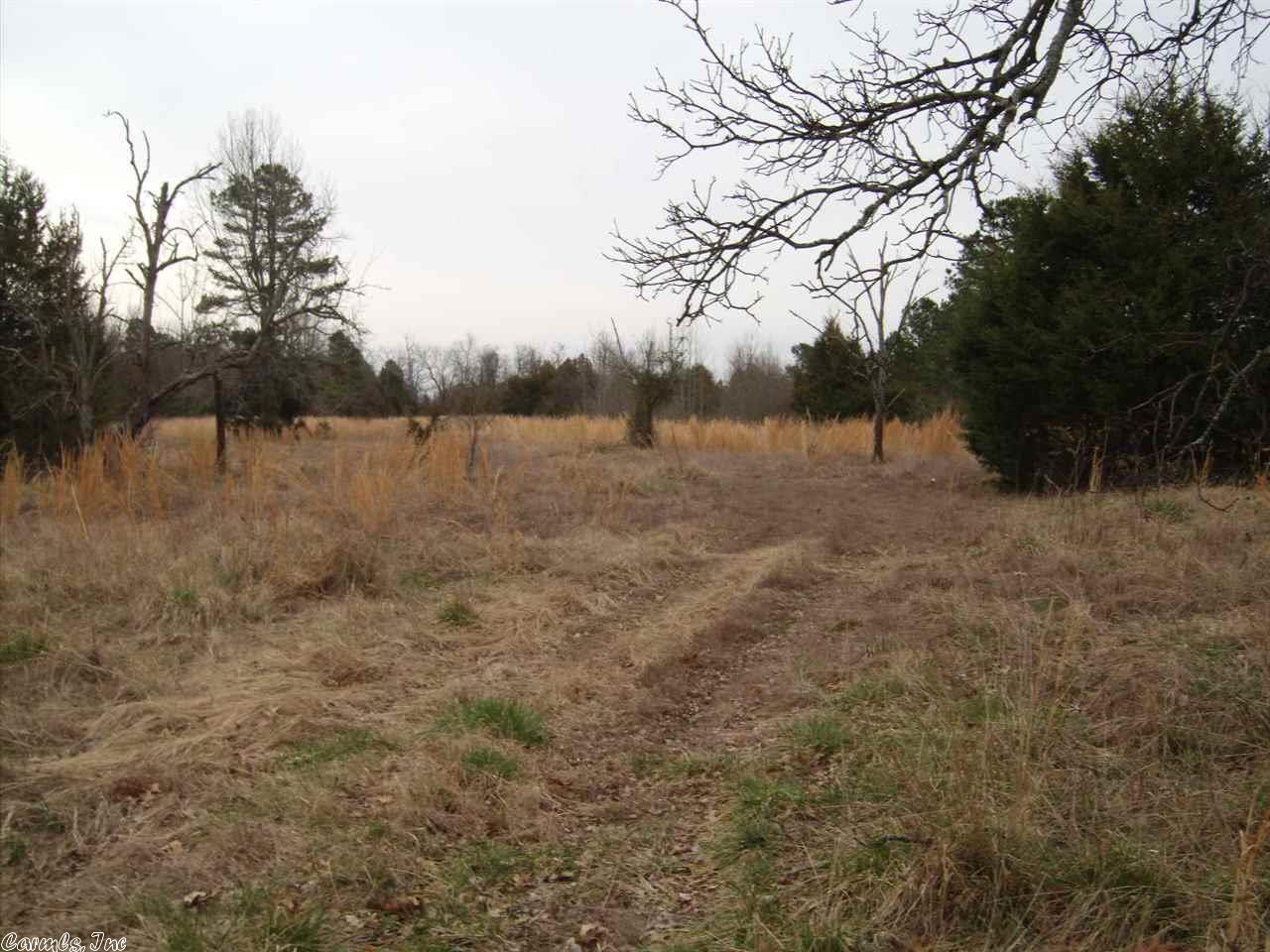 30 Banner Loop, Concord, AR 72523 photo 8