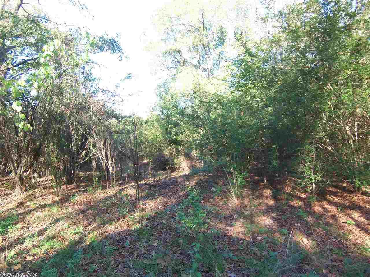 24 Royal Ln, Conway, AR 72032 photo 19