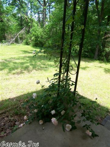 24 Royal Ln, Conway, AR 72032 photo 4