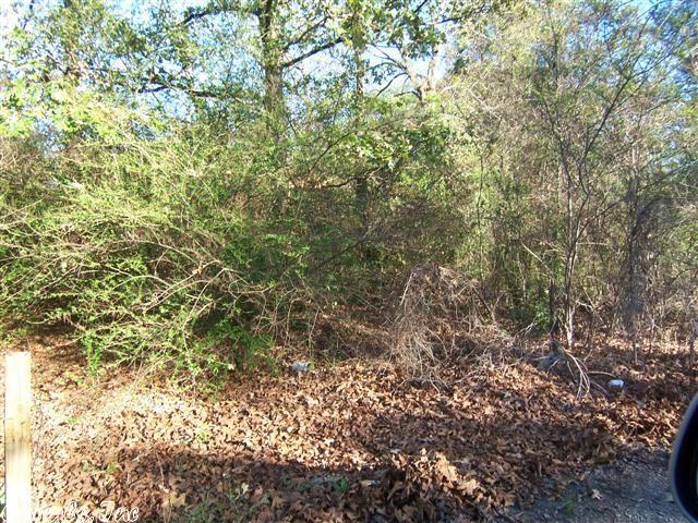 24 Royal Ln, Conway, AR 72032 photo 18