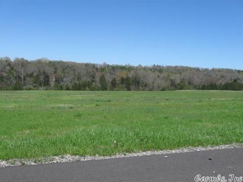 4 Brookeview, Greenbrier, AR 72058 photo 4