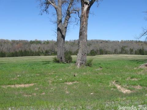 47 Brookeview Dr, Greenbrier, AR 72058 photo 4