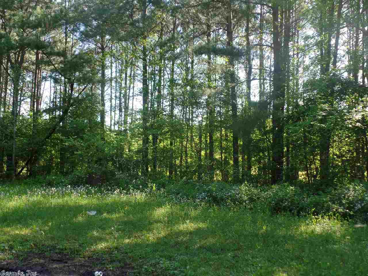 192 Willow Tree Rd, Ward, AR 72176 photo 5