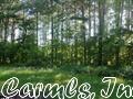 192 Willow Tree Rd, Ward, AR 72176 photo 8