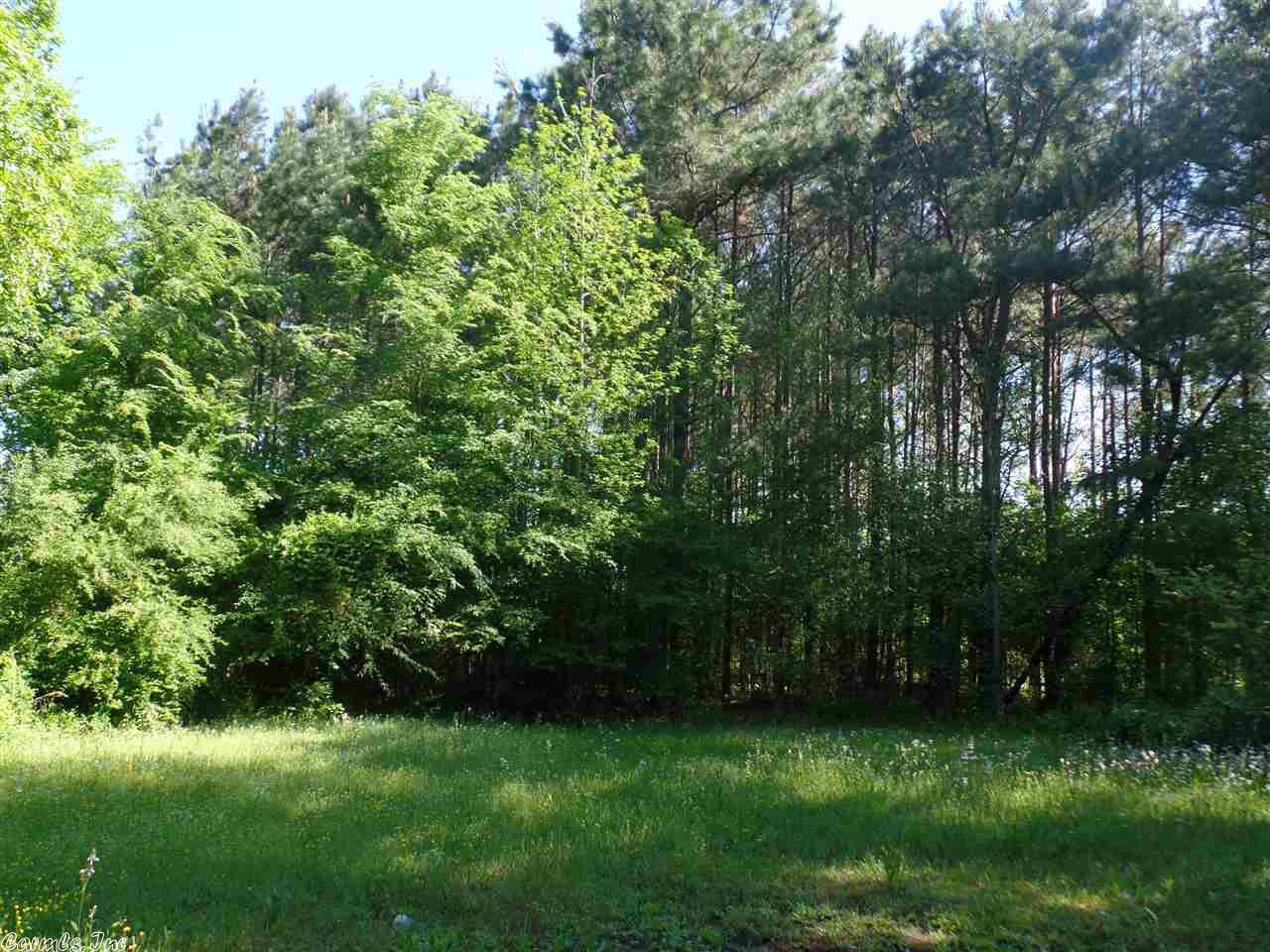 192 Willow Tree Rd, Ward, AR 72176 photo 4
