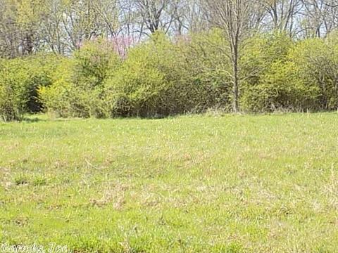 49 E Main, Greenbrier, AR 72058 photo 5