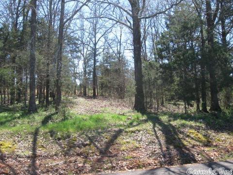 32 Brookeview, Greenbrier, AR 72058 photo 4