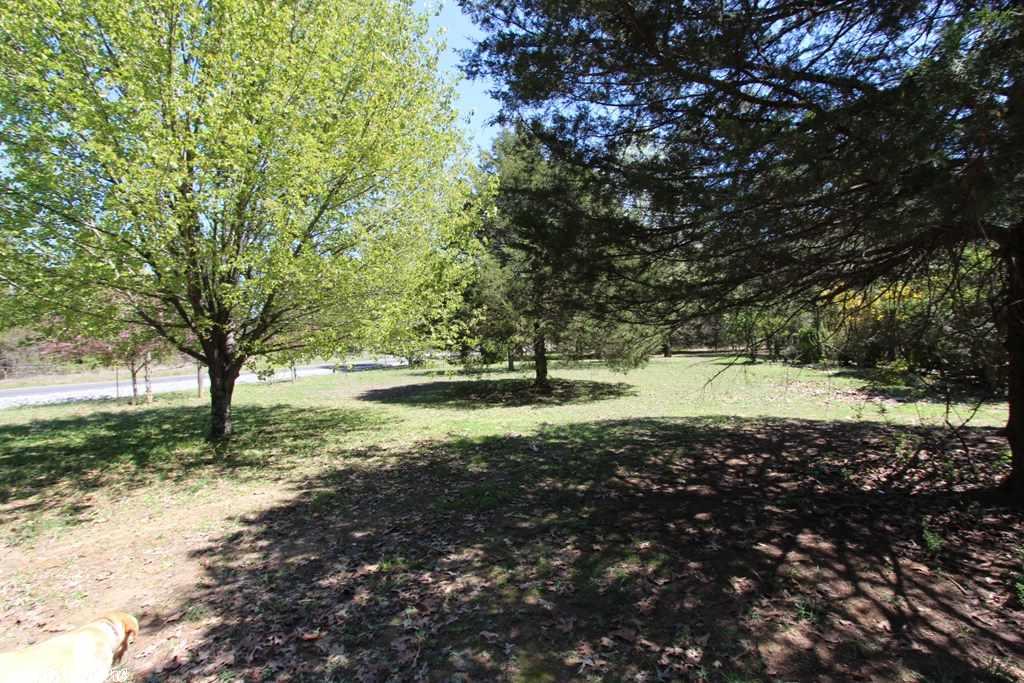 52 Ashberry, Quitman, AR 72131 photo 18