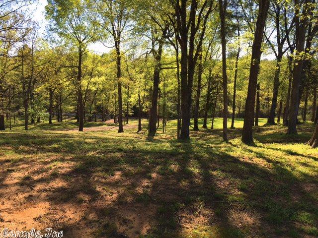 116 Cedar Ln, Horatio, AR 71842 photo 3