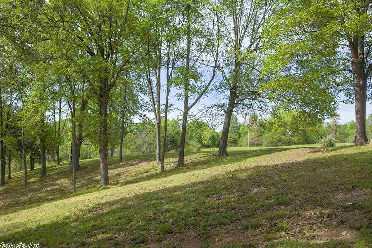 116 Cedar Ln, Horatio, AR 71842 photo 18