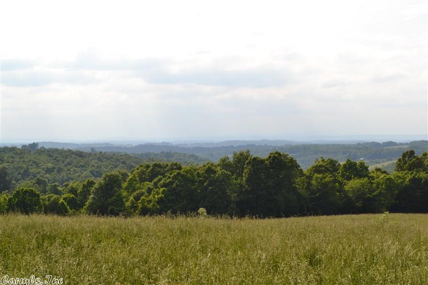 302 Access Rd, Marshall, AR 72650 photo 3