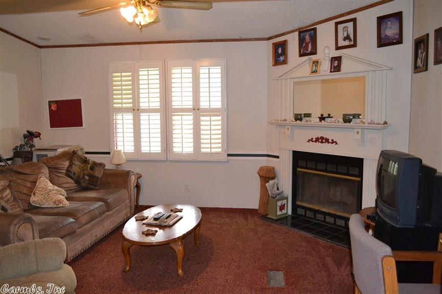 302 Access Rd, Marshall, AR 72650 photo 5