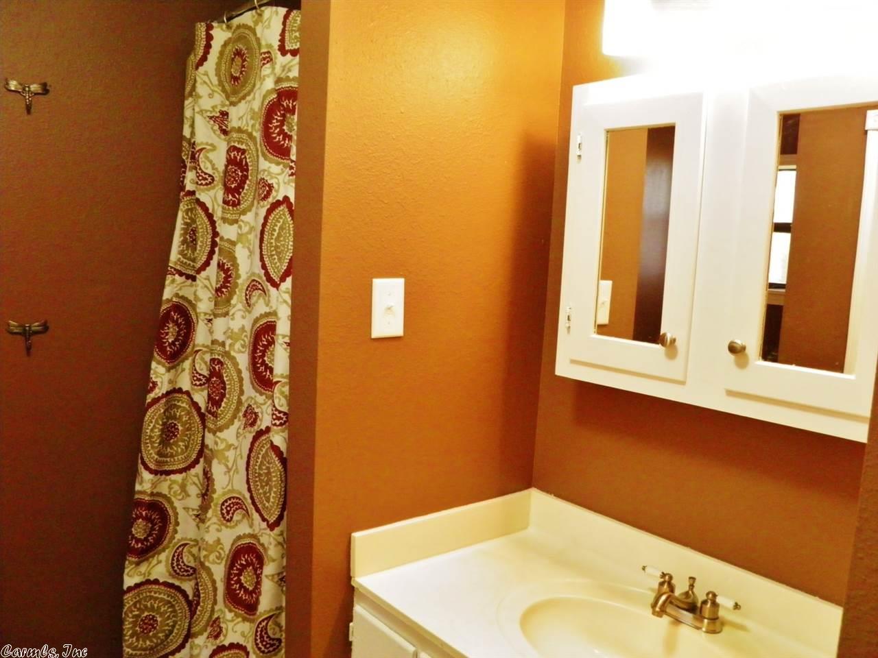 17 Valley Ridge Rd, Conway, AR 72032 photo 22