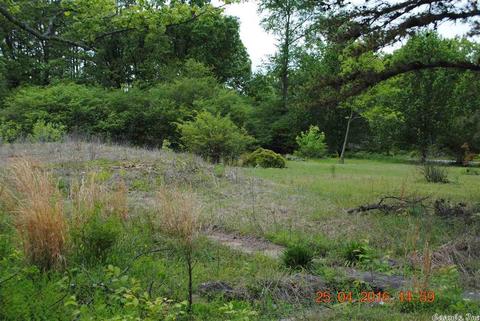 484 Foster Chapel Rd, Searcy, AR 72143 photo 10