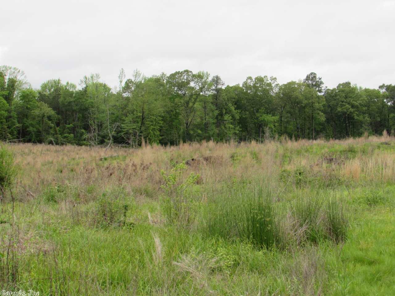 3670 Grant 19, Sheridan, AR 72150 photo 13
