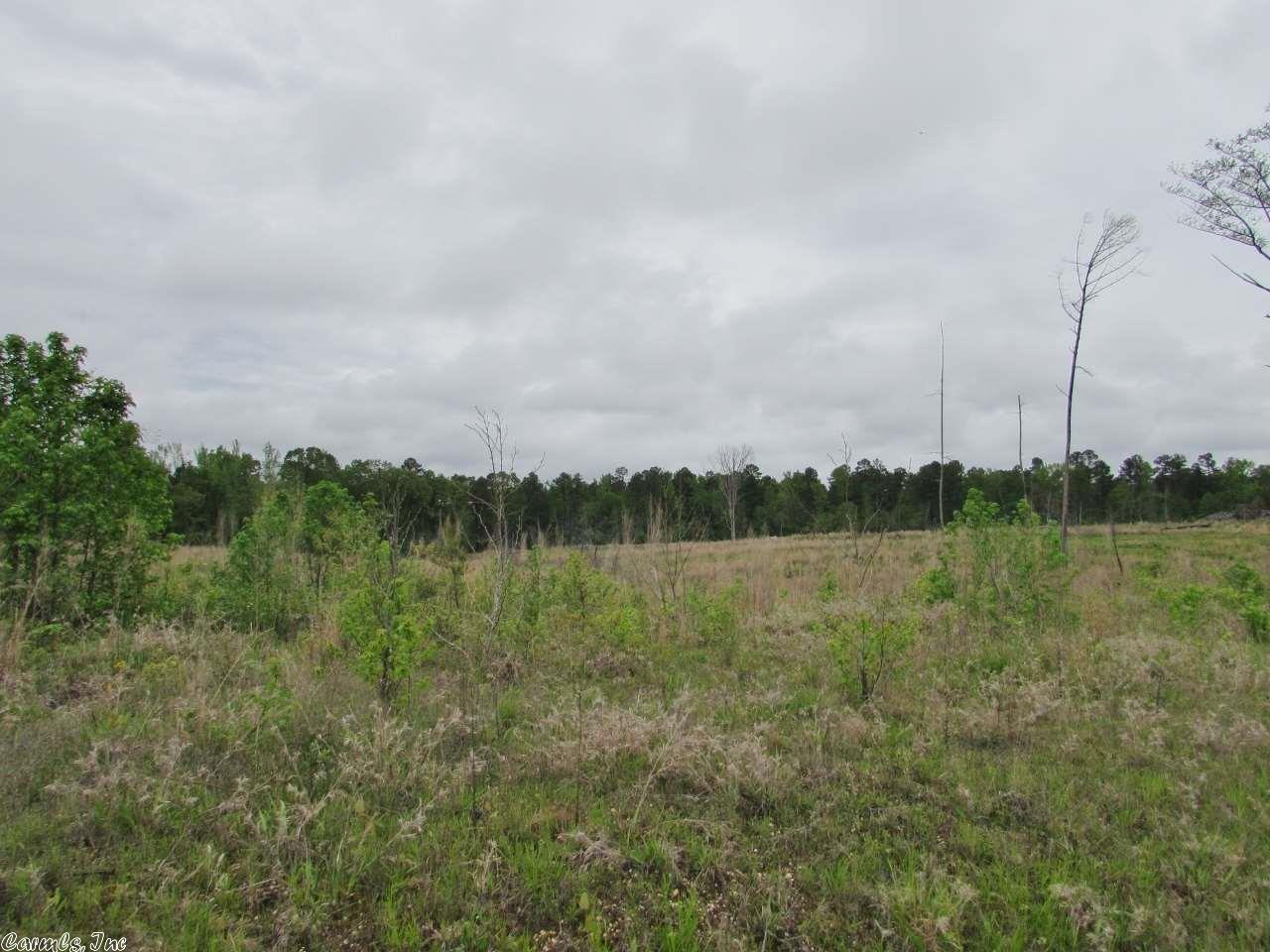 3670 Grant 19, Sheridan, AR 72150 photo 10