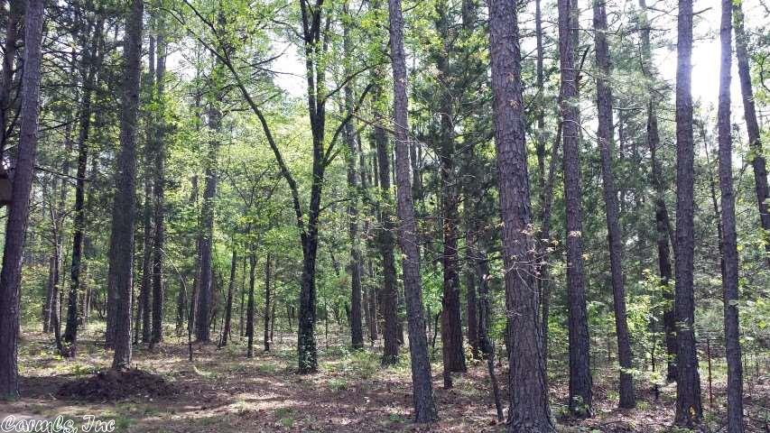 1518 Harmony Mountain Rd, Clinton, AR 72031 photo 6