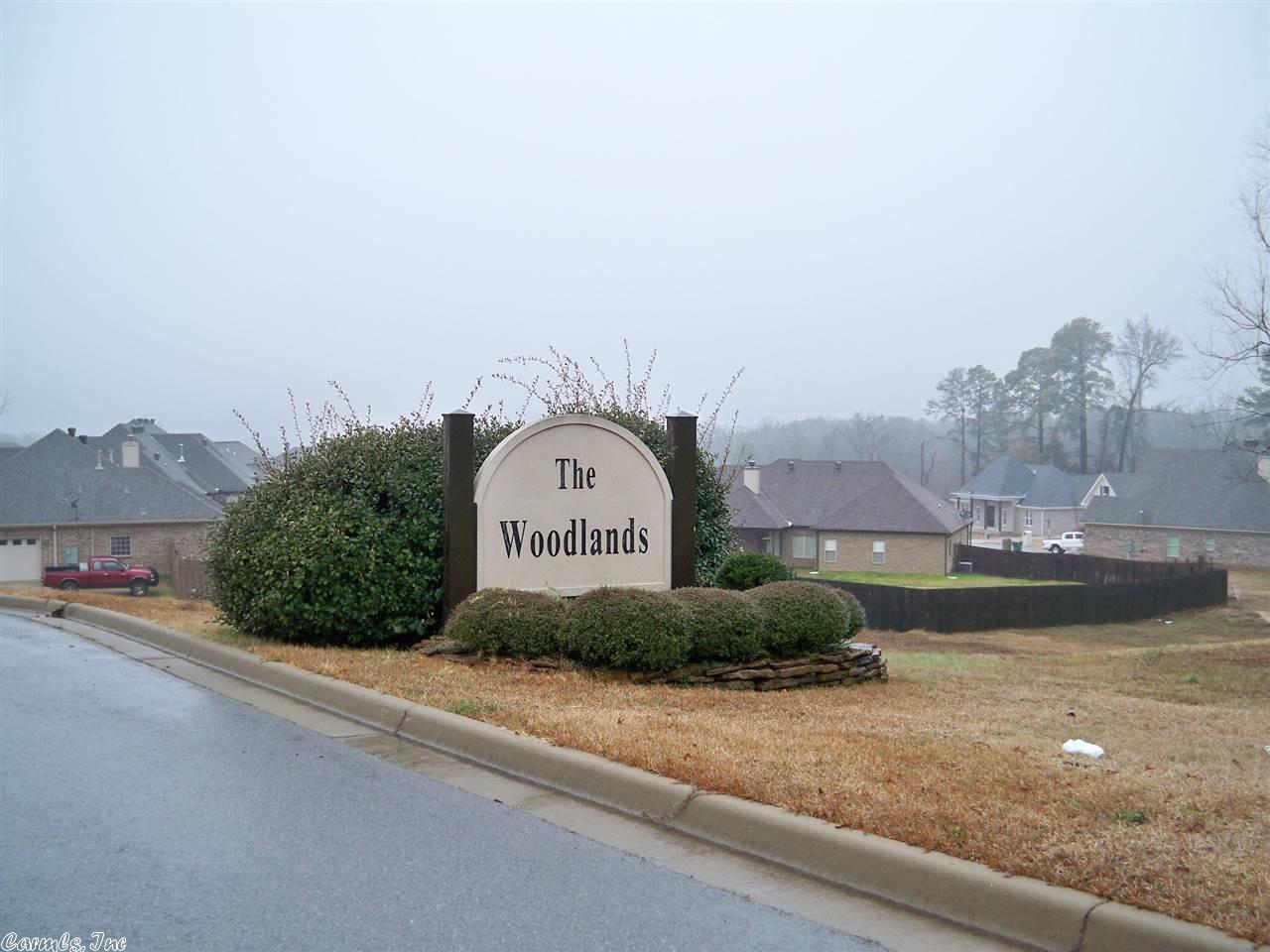 1201 Beaverhead Cv, Benton, AR 72019 photo 3