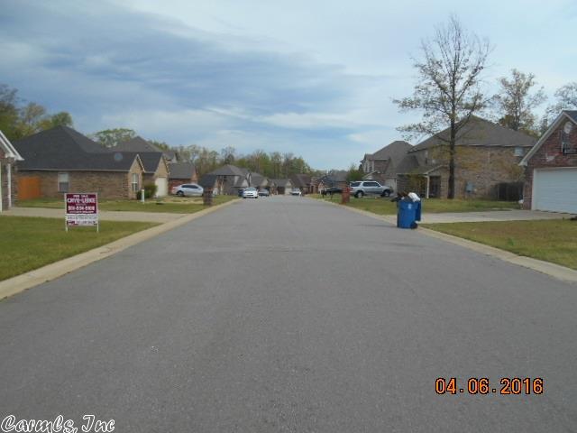 14113 Skyline Dr, Alexander, AR 72002 photo 9