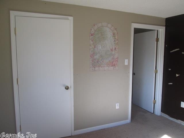 3225 Blaney Hill Rd, Conway, AR 72032 photo 9