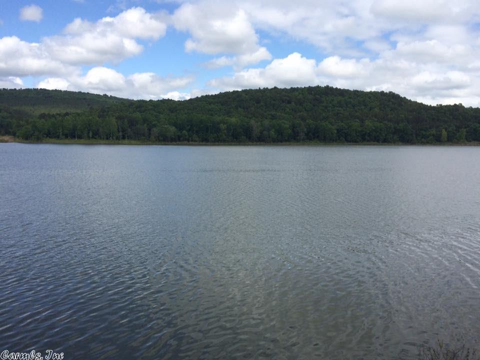 315 River Bend Ln, Clinton, AR 72031 photo 10