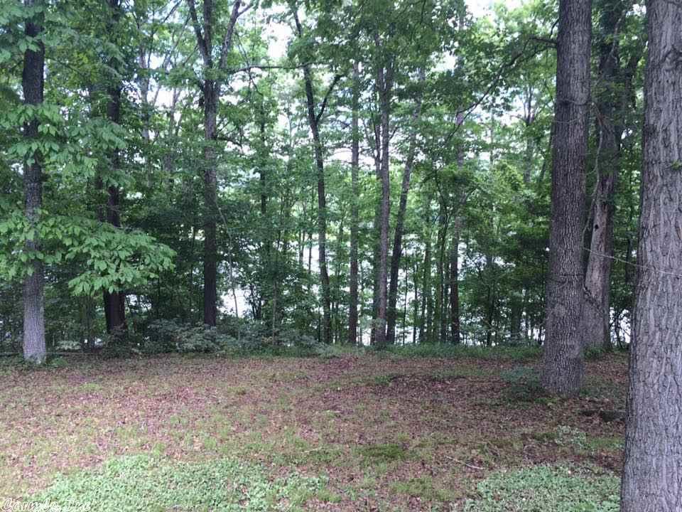 315 River Bend Ln, Clinton, AR 72031 photo 5