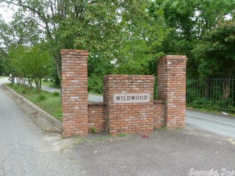 15 Crabapple Cv, Cabot, AR 72023 photo 1