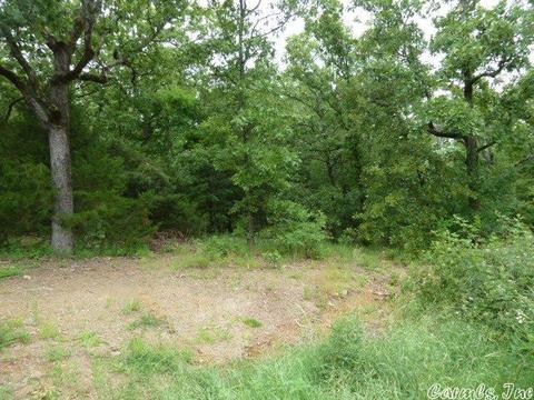 15 Crabapple Cv, Cabot, AR 72023 photo 7