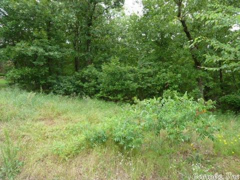 15 Crabapple Cv, Cabot, AR 72023 photo 6