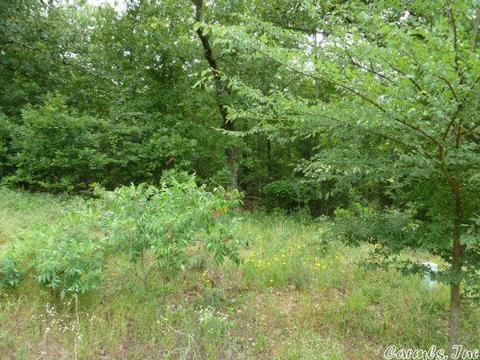 15 Crabapple Cv, Cabot, AR 72023 photo 5