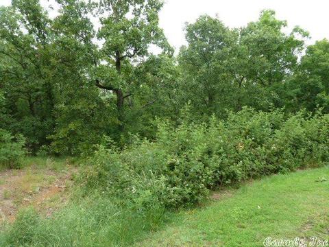 15 Crabapple Cv, Cabot, AR 72023 photo 8