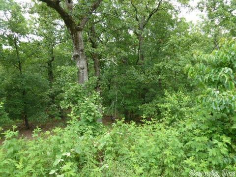 15 Crabapple Cv, Cabot, AR 72023 photo 10