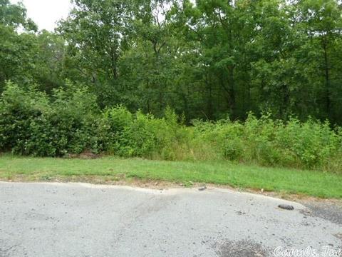 15 Crabapple Cv, Cabot, AR 72023 photo 11