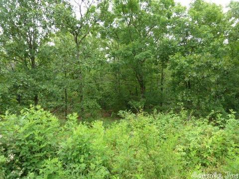 15 Crabapple Cv, Cabot, AR 72023 photo 9