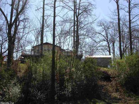 123 Elder St, Mount Ida, AR 71957 photo 26