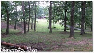 846 Breckenridge, Benton, AR 72019 photo 40